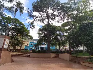 Plaza Simon Bolivar Palmira