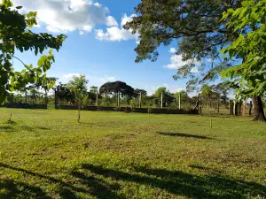 el Abuelo Vidal Park