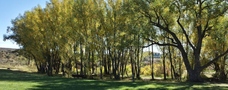 Dirty Woman Park