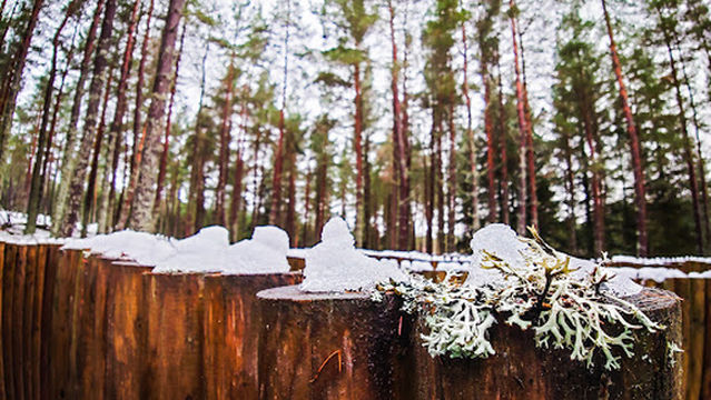 Tomintoul Adventure Play Park