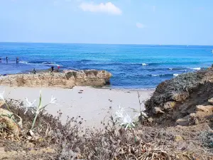 Palmahim Beach