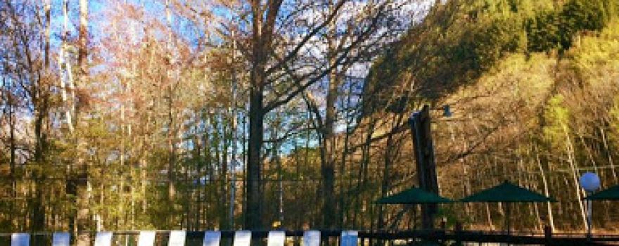 Timberland Campground