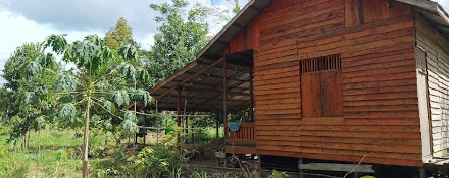 Pondok Kayu Muara Kasih