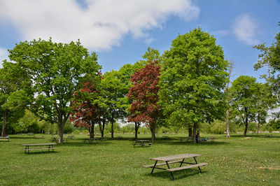 Kiwanis Park