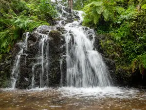 Cascade Faymont