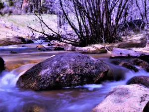 Rio De Las Vacas Campground