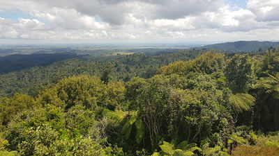 Hakarimata Summit Tower