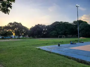 Campo de Fútbol "Parque San Carlos"
