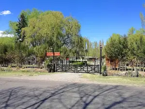 Camping Spring