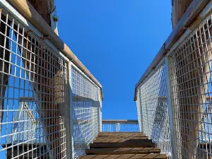 Mirador Alto del Coto