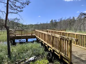 Rezerwat przyrody Bagno Przecławskie