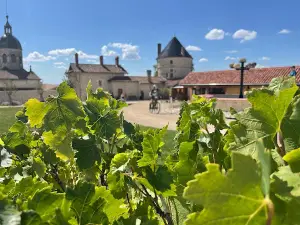 Château de Treffort