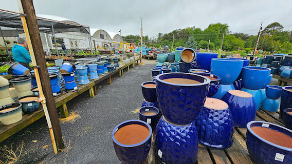 Dambly's Garden Center