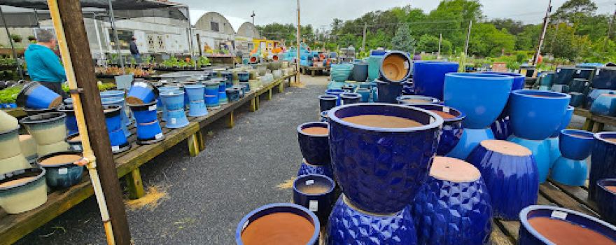 Dambly's Garden Center