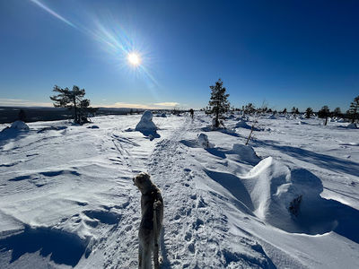 Kuertunturi Fell