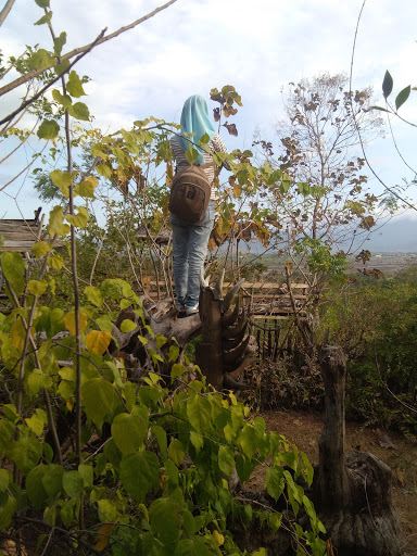 Mbojo Mantoi Doro Belo