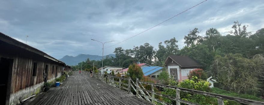 Rumah Panjang Saham