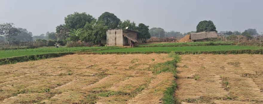 Koilaha कोइलहा
