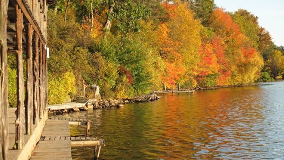 Pequot Ledge Campground