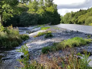 Camping Du Moulin Vert