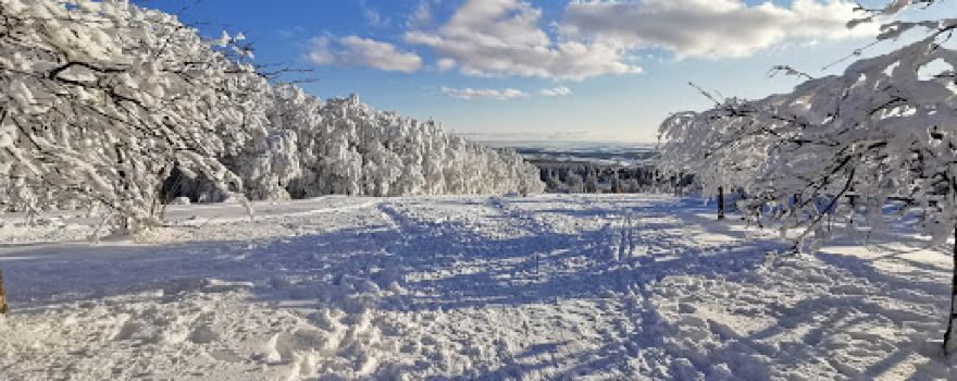 Baumkronenpfad Hoherodskopf