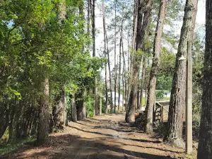 Rio Pirapora