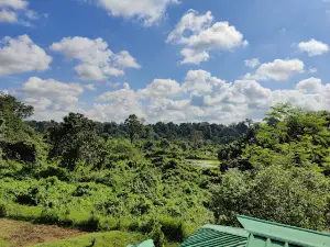 Neora Jungle Camp Resort