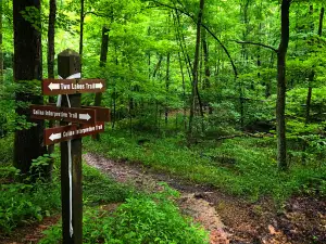 Two Lakes Loop Trail