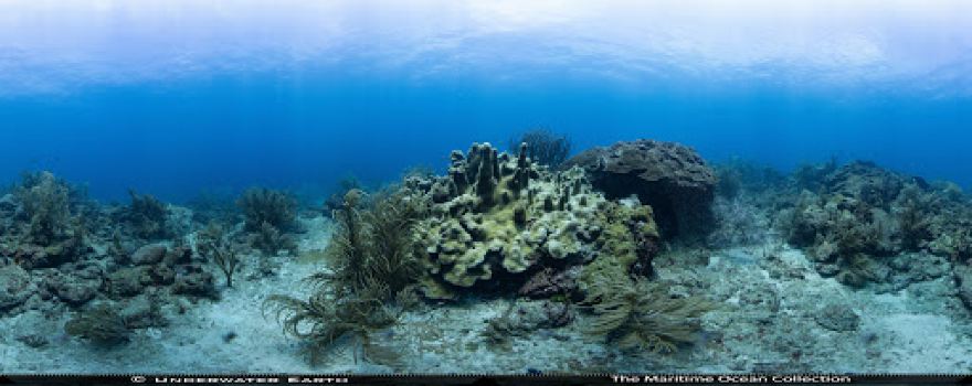 Culloden Reef