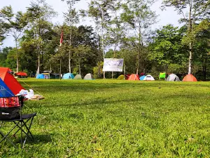 Aras Napal 242