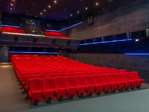 Cinéma Stella Janzé