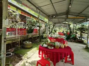 Vườn trái cây Bảo Thạch