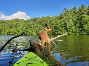 Glen Hills County Park