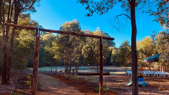Living Legacy, Wellington Dam Forest