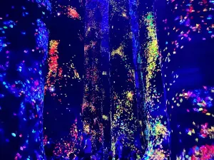 teamLab Phenomena Abu Dhabi