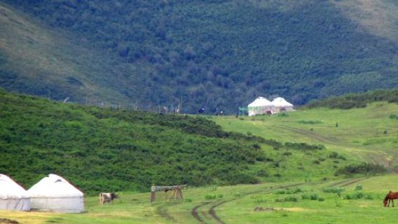 Akjok Grassland