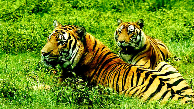 Hubei Houhe National Natural Reserve