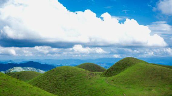 Yangchun Jilongding Forest Park