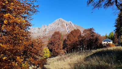 Belvedere Parco Valentino - Piani Resinelli (lc)