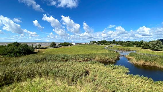 Coastal Meadow Hiking Trail