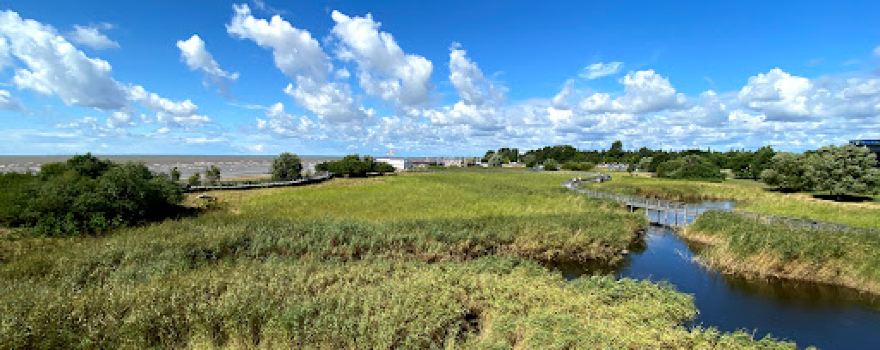 Pärnu rannaniidu matkarada