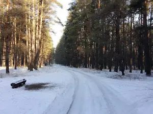 Національний природний парк "Залісся"