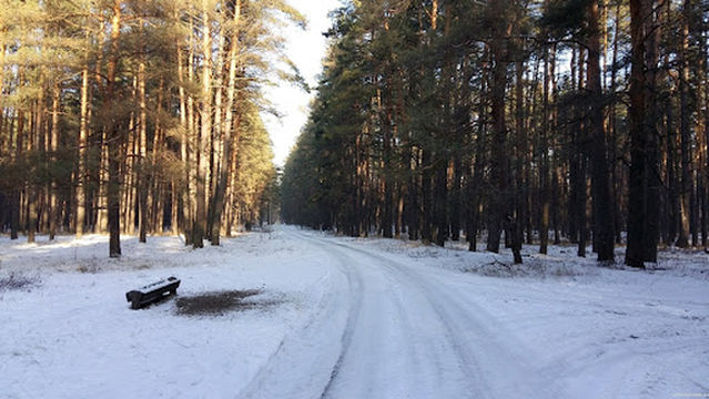 Zalissia National Park