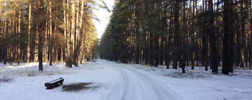 Національний природний парк "Залісся"