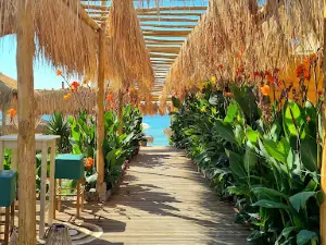 La Roca Beach Bar
