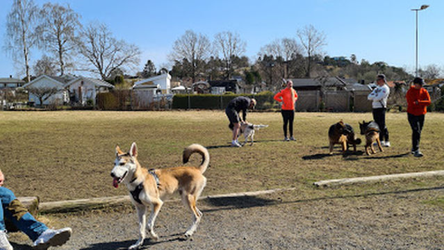 Sandefjord Hundepark
