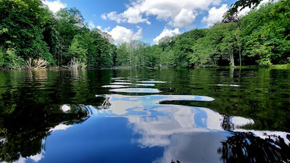 Centre Culturel Marcel Hicter - La Marlagne