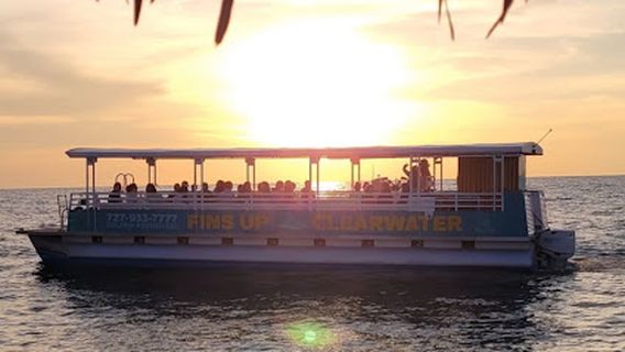 Fins Up Clearwater