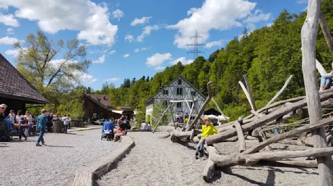 Zurich Wilderness Park Sihlwald