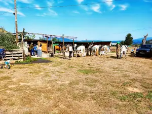 Cuadra Santa Bárbara.